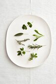 Seven different herbs on oval plate