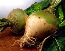 Close-up of two raw turnips