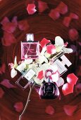 5 verschiedene Parfums dekoriert mit Blütenblättern, roter Hintergrund