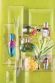 6 verschiedene Parfums vor grünem Hintergrund mit einer Ananas