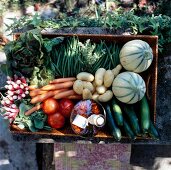 Variety of vegetables in wooden basket