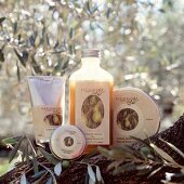 4 verschiedene Kosmetikprodukte aus Oliven auf einem Baum plaziert.