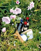 Natural cosmetics in bottles and container lying on herbs and flowers