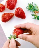 Close-up of woman's hands removing rosettes from strawberries