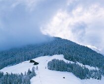 Berg im Schnee mit Tannen und Höfen Villgratental