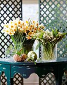 Vases of fresh lilies and daffodils with pumpkins on table