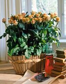 Arrangement of yellow roses with vase and stack of book on wooden surface