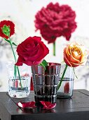Drei Gläser mit Rosen darin, passende Tapete dazu im Hintergrund