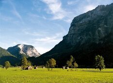 Ausblick auf die Landschaft in Österreich, Bregenzerwald