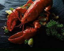 Close-up of lobsters with shallots and dill