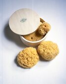 Half lid wooden box with natural sponges in it and two sponges besides it 