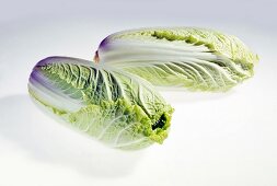 Chinese cabbage on white background