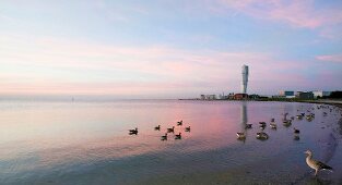 View of Malmo and geese swimming in sea at sunset, Malmo, Sweden
