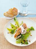 Chicken breast with marinated fennel on plate