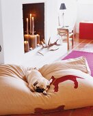 Dog sleeping on large pillow with dog design in living room