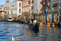 Gondel von vorne im Canal Grande in Venedig, Fassaden, Sonne