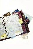 Timer, Notizbuch, Kalender Schwangerschafts-Tagebuch