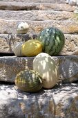 Different types of melons