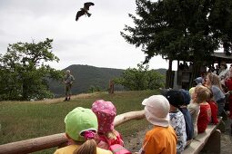 Children watching vulture in National park Kellerwald-Edersee, Hesse, Germany