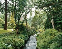Bodnant Garden in Wales 