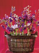 Korb mit bunten Blumen, Sommerstrauß Rittersporn + Schwertlilien
