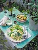 Cucumber-noodle salad, spinach and potato salad and red wine on a garden table