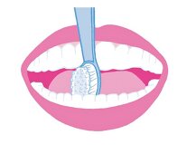 Illustration: Zähne richtig putzen Step 4 von 6