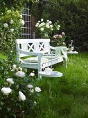 White garden bench amongst flowering roses
