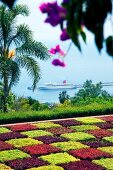 View of botanical garden with cruise ship in background, Madiera Island, Funchal, Portugal
