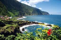 View of green rocky coastline and Atlantic ocean, Madeira, Portugal