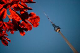 Close-up of TV Tower at Alexanderplatz in Alex, Berlin, Germany
