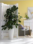 Wohnzimmer, Grünpflanze vor Paravent aus Rattangeflecht in Weiß