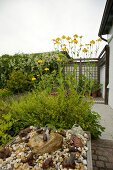 Birds and frogs figurines on stones near rudbeckia perennial