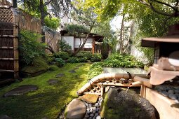 Japanese style garden on terrace, New York, USA