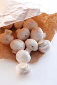 Close-up of white mushrooms in brown paper bag