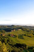 Italien, Piemont, Blick nach Süden, Ebene bei Monforte d'Alba