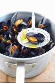 Mussels in a white wine broth being made