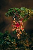 Close-up of various tree ornaments hanging on Christmas tree