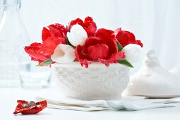 Close-up of white tulips and red parrot tulips in white bowl