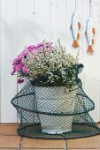 Flowers in white bucket with fishing net
