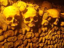 Arranged ossements in Catacombs of Paris, Paris, France