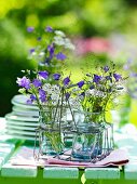 Glashalter mit Gläsern als Vase für Sommerblumen