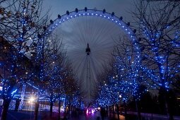 View of illuminated London Eye at night, London, UK