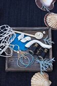 Binoculars and shells on wooden tray