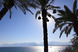 Antalya: Blick auf Golf von Antalya, Berglandschaft, Palmen.