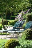 Sun lounger chairs with cushion in garden