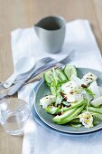 Cucumber and avocado salad with baked sheep's cheese