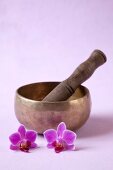 Close-up of mortar and pestle with flowers around on pink background