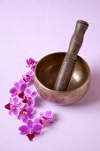 Close-up of mortar and pestle with flowers around on pink background