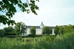 View of Gottorf Castle surrounded with greenery at Schleswig, Schleswig-Holstein, Germany